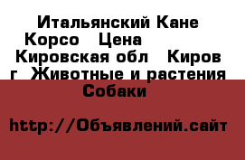 Итальянский Кане Корсо › Цена ­ 25 000 - Кировская обл., Киров г. Животные и растения » Собаки   